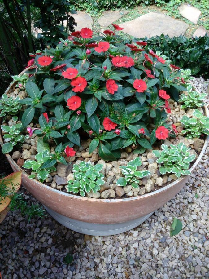 Eco Pousada Jardim Do Eden Alto Paraíso de Goiás 외부 사진