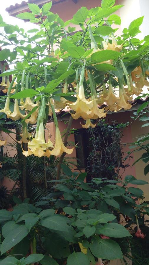 Eco Pousada Jardim Do Eden Alto Paraíso de Goiás 외부 사진
