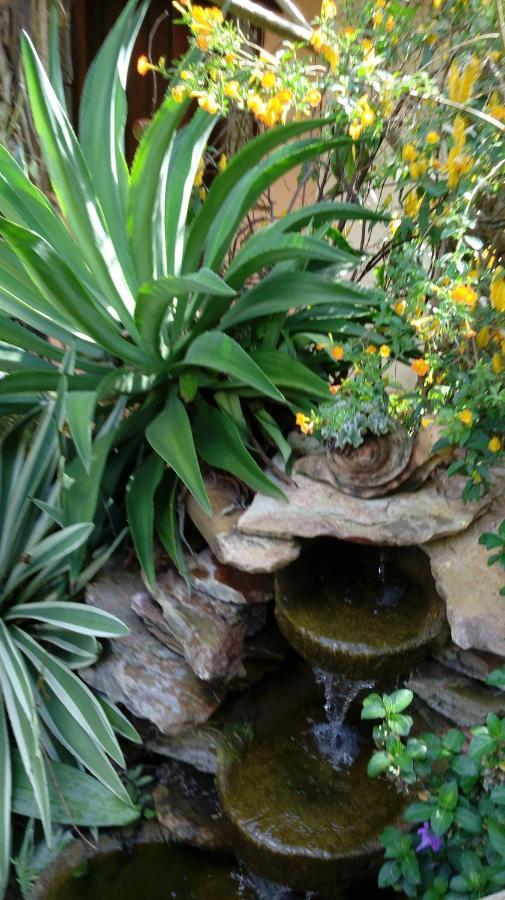Eco Pousada Jardim Do Eden Alto Paraíso de Goiás 외부 사진