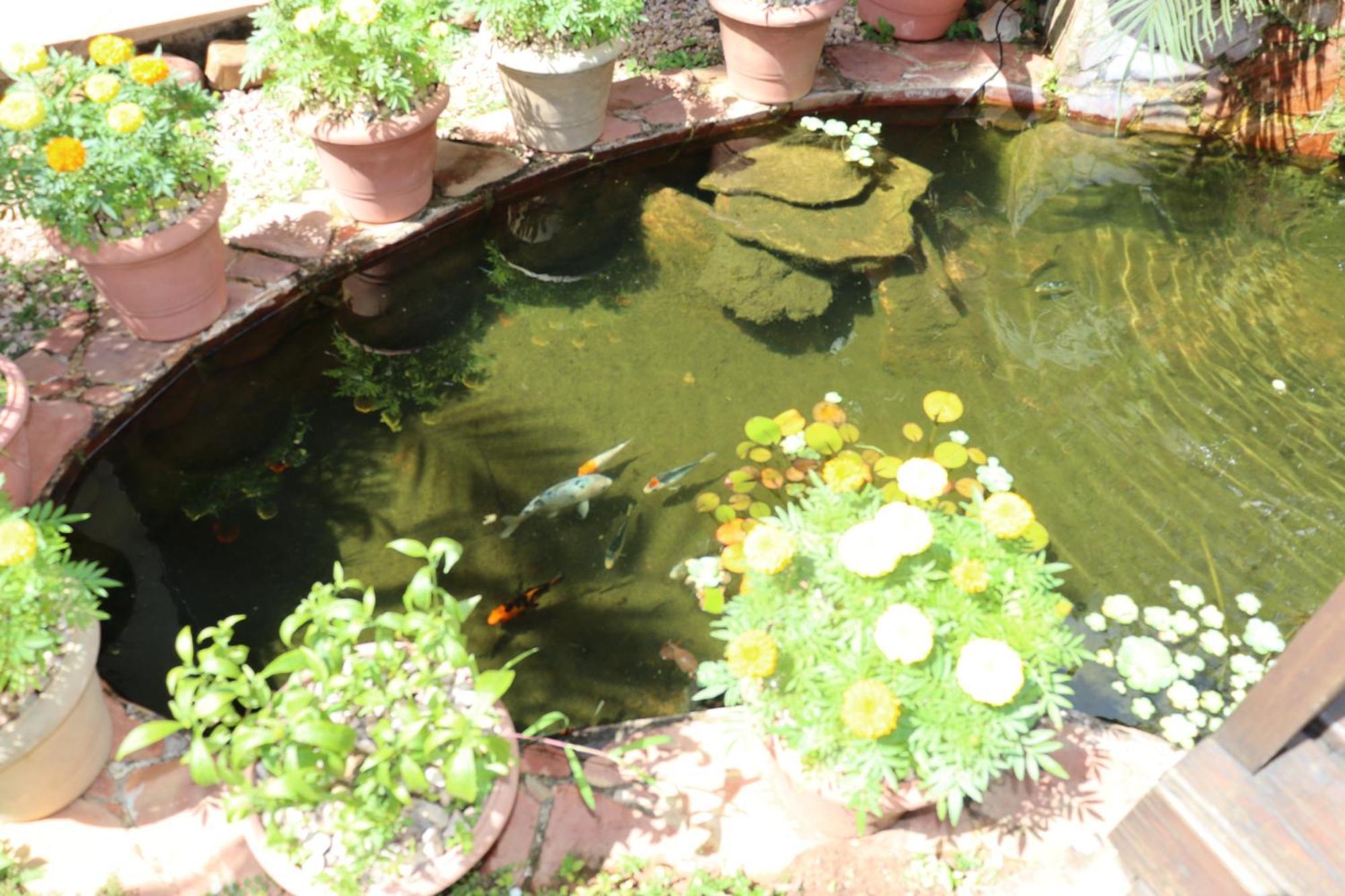 Eco Pousada Jardim Do Eden Alto Paraíso de Goiás 외부 사진