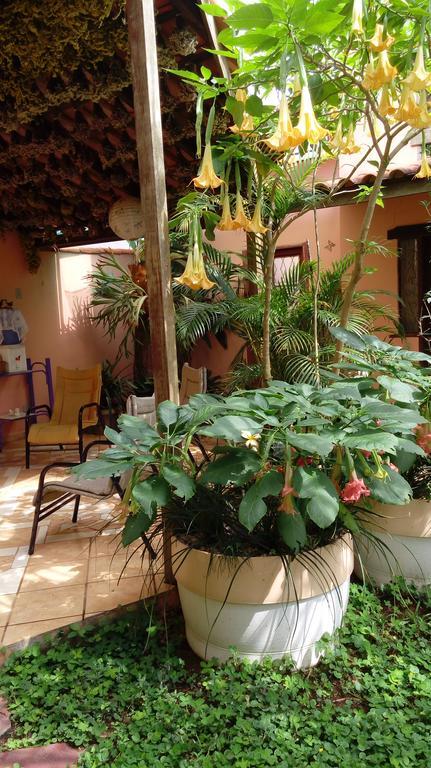 Eco Pousada Jardim Do Eden Alto Paraíso de Goiás 외부 사진
