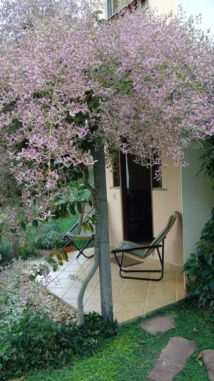 Eco Pousada Jardim Do Eden Alto Paraíso de Goiás 외부 사진