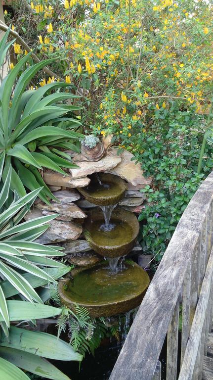 Eco Pousada Jardim Do Eden Alto Paraíso de Goiás 외부 사진